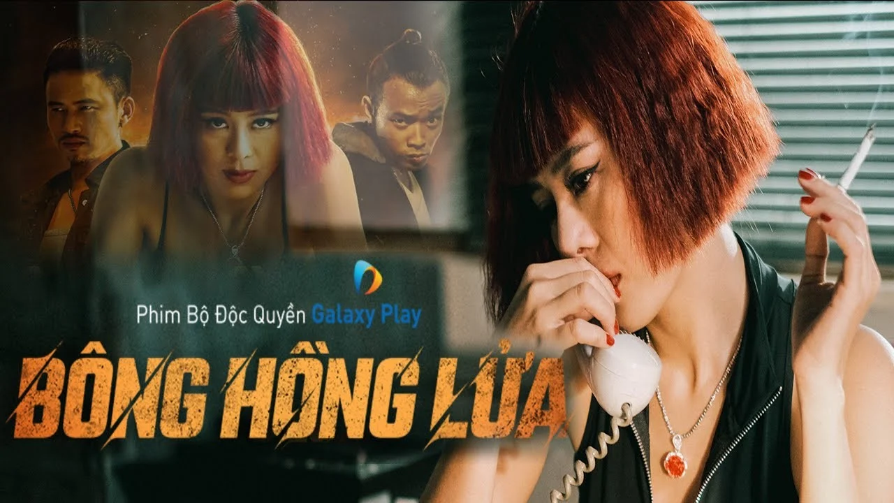Bông Hồng Lửa Bông Hồng Lửa