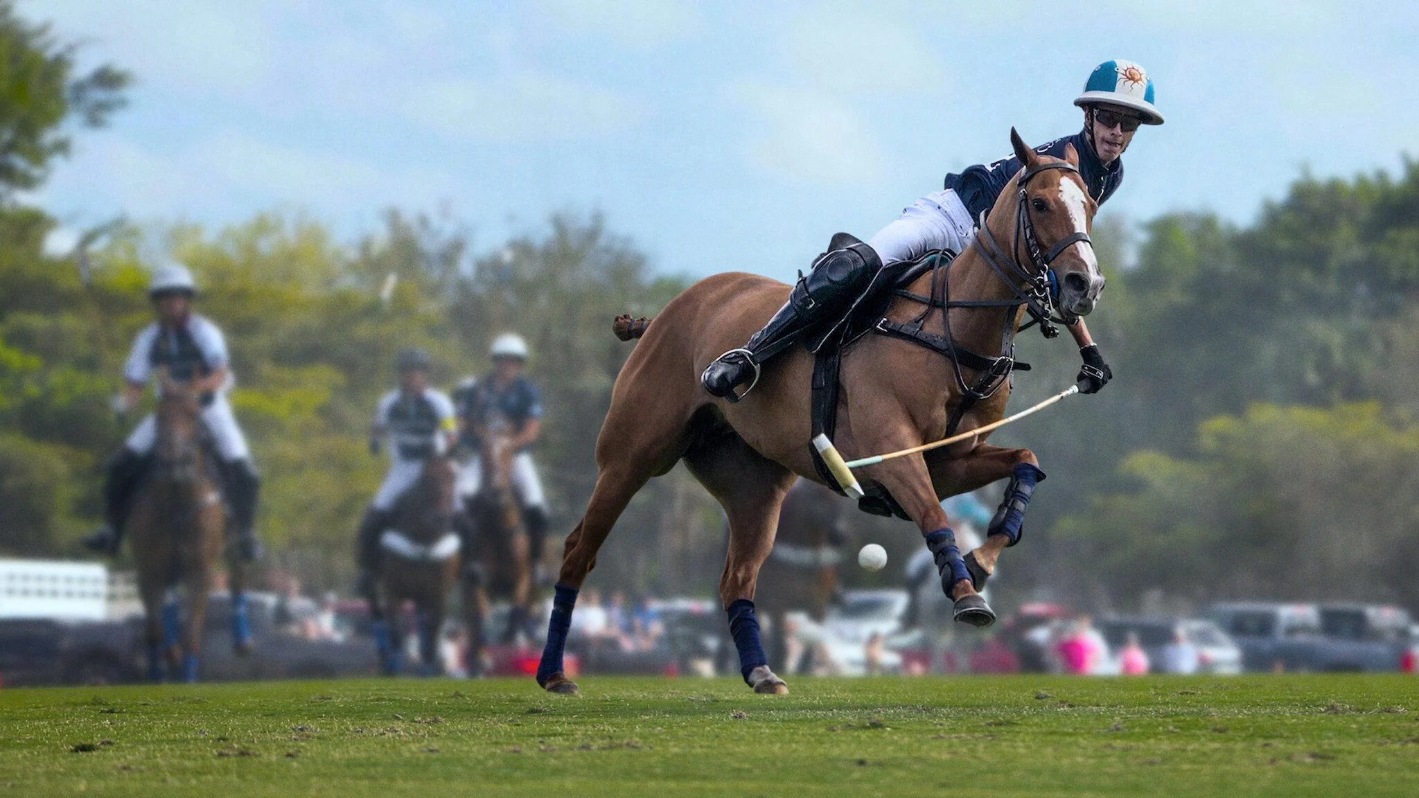 Polo Polo
